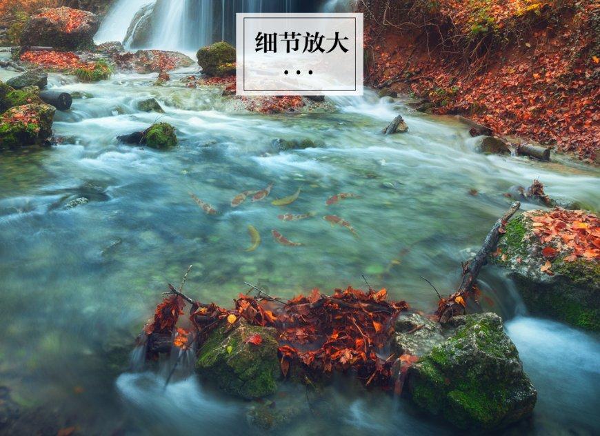 去年增收不增利,华秦科技股价较高点已腰斩,董监高抛最高2000万元回购计划
